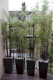 63 Cozy Apartment Balcony Decorating Ideas Spaciroom Com Garden Privacy Screen Balcony Plants Balcony Privacy