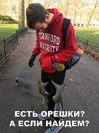 Смешные картинки до слез с надписями (62 фото)