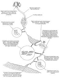 simple flow chart of water pollution diagram