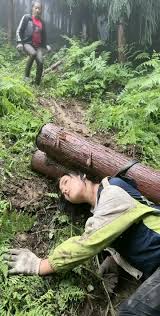 Worked hard Girl #fouy #foryourpage #workingharder #EURO_CBS2024 #funny  #girl (191)