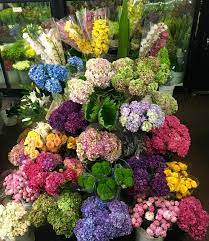 If you're not too discerning, and neither is the person getting the flowers, come here. Flowers Wholesale Home Facebook