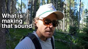 Mount Willey Field and Tom