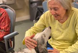 AIR® Creates and Expands Programs, Adapts to COVID to Increase its  Life-Saving Impact