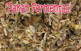 We did not find results for: Proses Pembuatan Pakan Kambing Fermentasi
