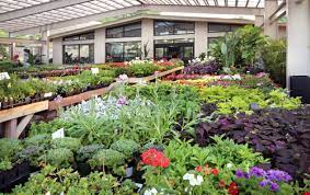 You can see reviews of companies by clicking on them. Plant Nursery Imported Pottery Gardening Supplies Gifts Shoal Creek Nursery Llc Austin Tx