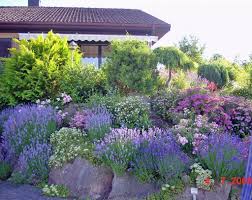 Lavendelgarten Lavendelgarten Garten Lavendel
