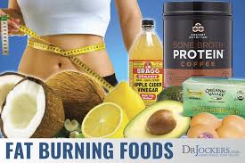 Image result for 3 metabolism fuel to burn fat.