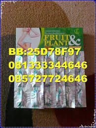 Hasil gambar untuk penggemuk badan karawang