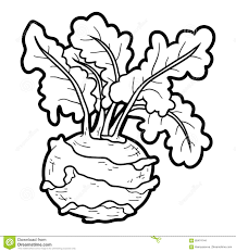 Livre De Coloriage Legumes Chou Rave Illustration De Vecteur Illustration Du Isolement Couleur 85474144