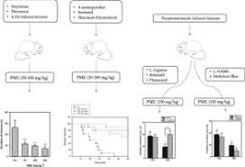 Image result for Pseudospondias