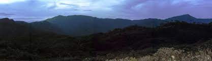 Check spelling or type a new query. Gunung Leuser Gunung Bagging