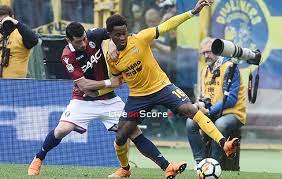 Links to hellas verona vs. Verona Vs Bologna Preview And Prediction Live Stream Serie Tim A 2019 2020