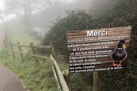 La Question Pas Si Bete Pourquoi Ne Faut Il Jamais Donner Du Pain Aux Canards Le Pays D Auge