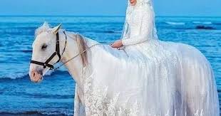 السلام عليكم انا مخطوبه داخله علي سنتين و المفروض اتجوز كمان شهرين كده بس طبعا الظروف اللي حصلت ممكن تخليني معملش فرح و غير كده انا خطيبي بيعمل horses animals