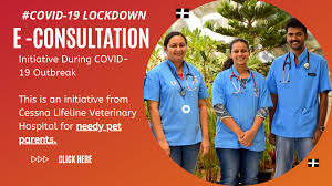 Pet doc vet clinic, pune, maharashtra. Cessna Lifeline Veterinary Hospital Linkedin