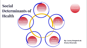 Social Determinants Of Health By Lacey Dargenio On Prezi Next