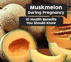 Muskmelon During Pregnancy 10 Health Benefits You Should Know