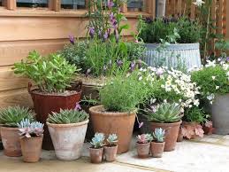 Balkon Und Terrasse Die Besten Tipps Im Oktober Pflanzen Bepflanzung Kubelpflanzen