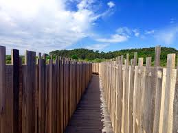 Marais D Orx 2015 Labenne Landes Reserve Naturelle Tourisme Landes Landes Tourisme