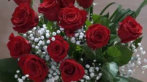 La rosa rossa è per eccellenza il fiore per esprimere tutta la passione che si nutre per la persona amata. Mazzo Di 12 Rose Rosse A Gambo Lungo Zambon Fiori Treviso