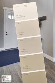 This is a beautiful paint color that will provide an amazing neutral backdrop to any space. Sherwin Williams Agreeable Gray Review Create Your Cozy And Trendy Look Knockoffdecor Com