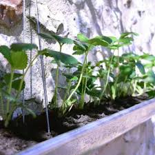 tuto fabriquez des jardinieres en beton pour embellir votre jardin decoration jardin cailloux bac a fleurs plantes aromatiques