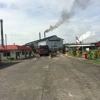 Maybe you would like to learn more about one of these? Kilang Sawit Belitong
