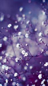 Flores Flores Landscape Wallpaper Flowers Photography Beautiful Flowers Wallpapers