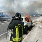 L'impatto è avvenuto al chilometro 3 + 950 dell'autostrada e ha provocato. Bologna Auto Investe Un Capriolo Sull A14 Muore La Donna Che Era Alla Guida