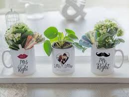 Geldgeschenk Mit Pflanzen Geldgeschenk Hochzeit Verpacken Hochzeit Geschenk Geld Geldgeschenke Hochzeit Basteln
