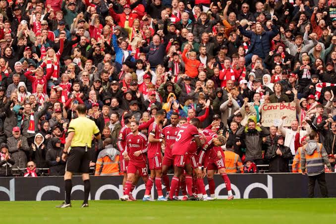 Liverpool FC fan spotted going wild at match before people realise it's  Irish star - Irish Mirror