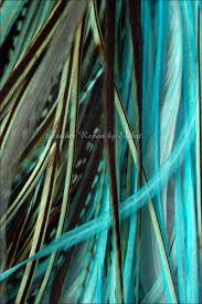 What is your personal hair dream. Aqua Turquoise Feather Hair Extensions 10 Long Hair Feathers Etsy