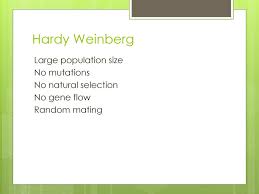 Hardy weinberg equation pogil answer key pdf. Unit 1 Part 2 Ap Bio Day Ppt Download