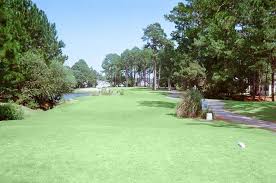 Heron Point Golf Club Myrtle Beach Golf Golf Courses Golf