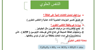Ù…Ù„Ø®Øµ Ø¯Ø±Ø³ Ø§Ù„ØªÙ†ÙØ³ Ø§Ù„Ø®Ù„ÙˆÙŠ ÙÙŠ Ø§Ù„Ø¹Ù„ÙˆÙ… Ù„Ù„ØµÙ Ø§Ù„Ø¹Ø§Ø´Ø± Ø§Ù„ÙØµÙ„ Ø§Ù„Ø¯Ø±Ø§Ø³ÙŠ Ø§Ù„Ø§ÙˆÙ„