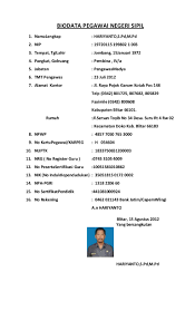 Biasanya memuat mengenai data diri dan pengalaman kerja. Contoh Format Biodata Ilmusosial Id