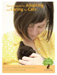 Our goal is to find loving homes for our animals and to. City Of Chicago Pet Adoption