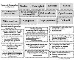 Maybe you would like to learn more about one of these? Plant Cell Organelle Cut And Paste By Mrs G Classroom Tpt