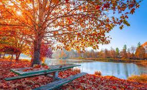 Sputnik moldova vă prezintă cele mai importante sărbători din luna octombrie. Newspascani Com PaÈ™cani Targu Frumos IaÈ™i Meteorologii Au AnunÈ›at Prima PrognozÄƒ Pentru Septembrie Cum Va Fi Vremea In Prima JumÄƒtate A Lunii Pascani Iasi Targu Frumos