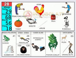 Gambar Katak Dalam Togel Kata Kata