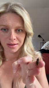 Western Conifer Seed Bugs may enter your home in late summer early fall and  spend the winter cozy in your house. They do not cause damage to your house  although they CAN emit a stinky odor (I’ve never ...