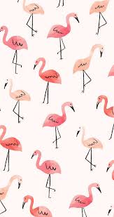 Free download gaming live hd gaming wallpapers photos download in for desktop, mobile & tablet. Flamingo Wallpaper Enjpg