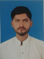 Govt. English Medium High School Mondka: School Staff