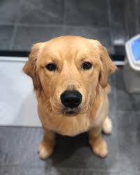 Cooper Chung (@cooper20191104) • Instagram photos and videos