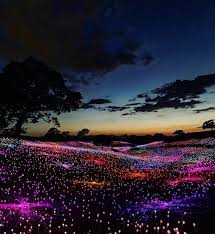 Bruce Munro S Art Installation In Paso Robles Is Everything And More Field Of Lights Is Like The Fantasy Landscape Beautiful Nature Wallpaper World Of Color