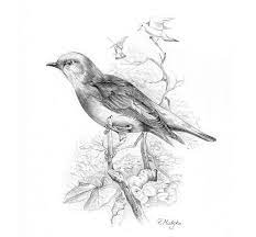 Pin On Pencil Drawings