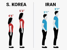 Human Height Changes Over The Last 100 Years In Different