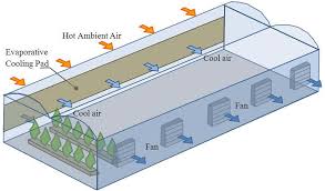 We did not find results for: Pad Fan Evaporative Cooling In Greenhouse Download Scientific Diagram