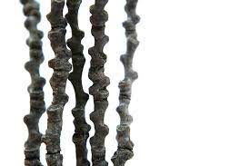 Ash Twigs Mary Jo Hoffman Nature Inspiration Patterns In Nature