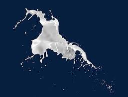 Here you can explore hq milk splash transparent illustrations, icons and clipart with filter setting like size, type, color etc. Milk Splash Png Images Milk Splash Clipart Free Download
